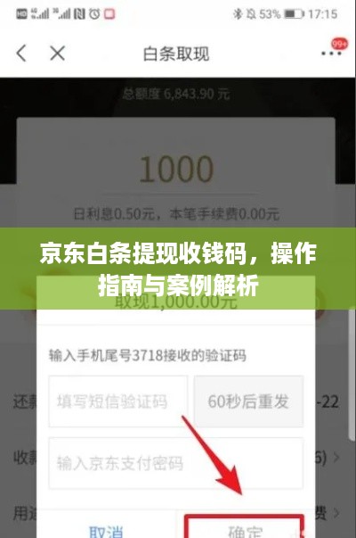 京东白条提现收钱码，操作指南与案例解析
