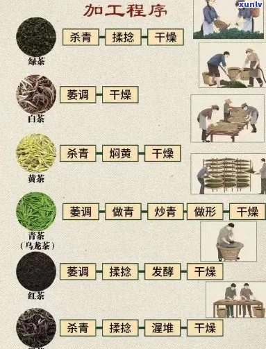 品牌茶叶制作流程详解