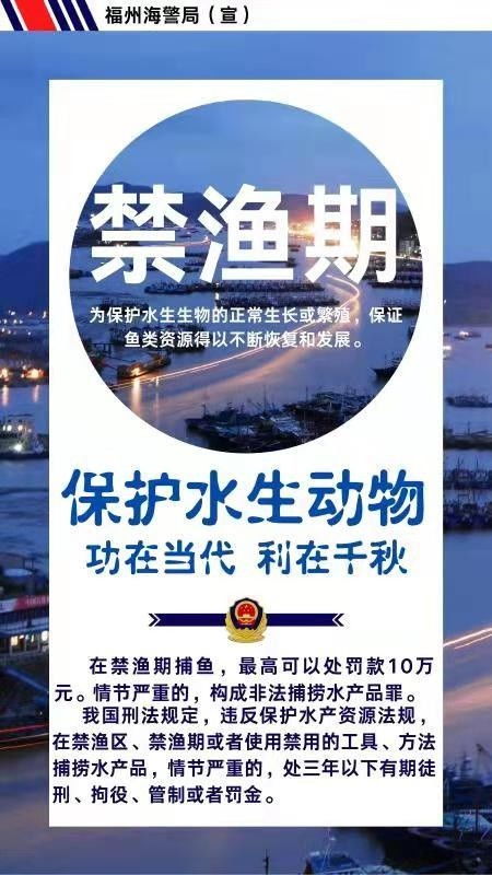 公安局查开房事件报告