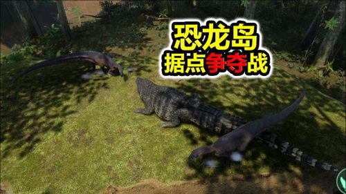 南大胖恐龙岛服务器选择指南