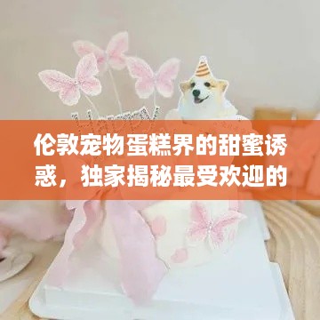 伦敦宠物蛋糕界的甜蜜诱惑，独家揭秘最受欢迎的宠物蛋糕品牌