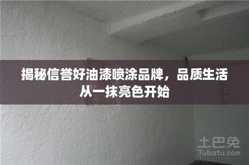 揭秘信誉好油漆喷涂品牌，品质生活从一抹亮色开始