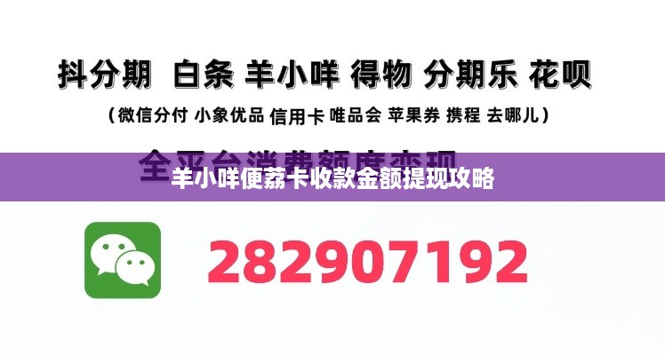 羊小咩便荔卡收款金额提现攻略