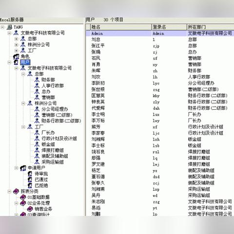 服务器办公软件推荐，高效办公，选择哪个更胜一筹？