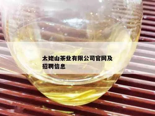 太姥山茶叶品牌加盟条件详解及成功案例分享