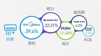 政府采购电脑品牌限制，政策背后的考量与影响