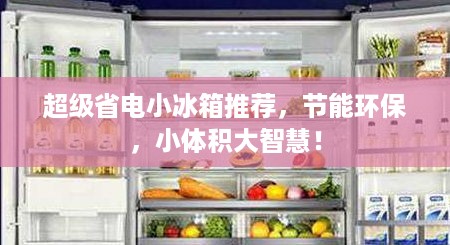 超级省电小冰箱推荐，节能环保，小体积大智慧！