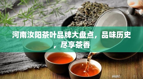 河南汝阳茶叶品牌大盘点，品味历史，尽享茶香