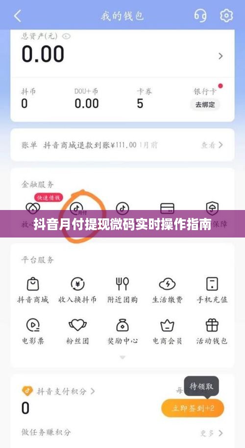 抖音月付提现微码实时操作指南