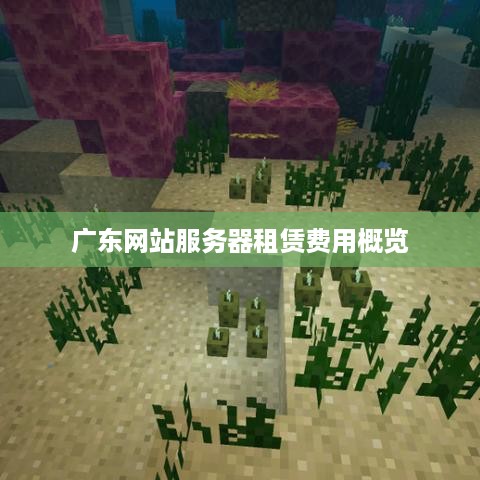 广东网站服务器租赁费用概览