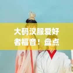 大码汉服爱好者福音！盘点几款性价超高的大码汉服品牌