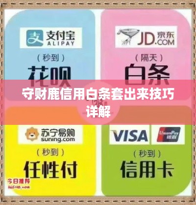 守财鹿信用白条套出来技巧详解