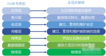 北京网站服务器租赁公司—您的数字世界可靠伙伴