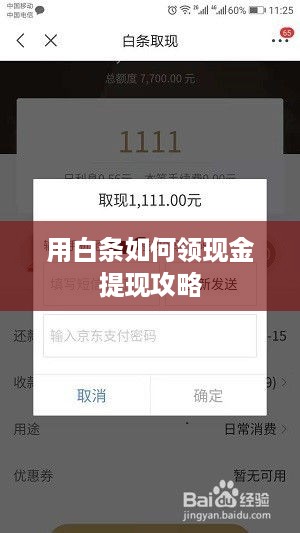 用白条如何领现金提现攻略