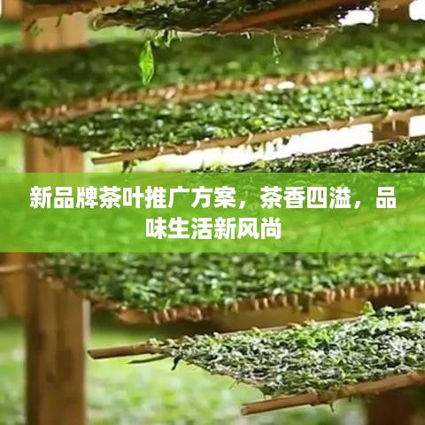新品牌茶叶推广方案，茶香四溢，品味生活新风尚