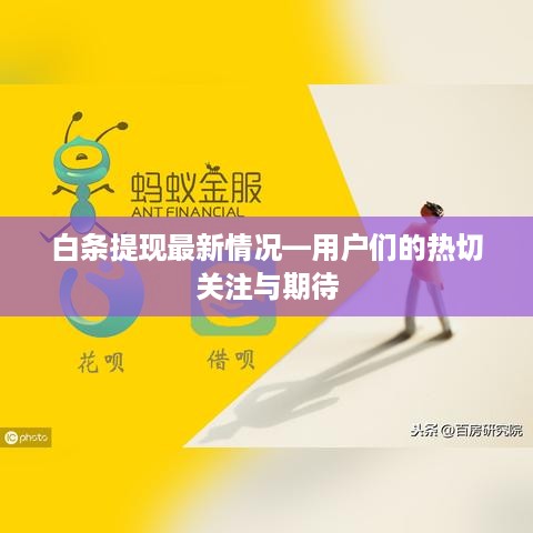 白条提现最新情况—用户们的热切关注与期待