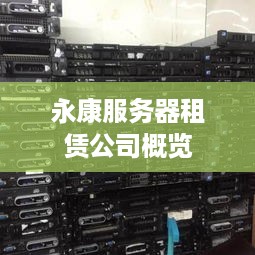 永康服务器租赁公司概览