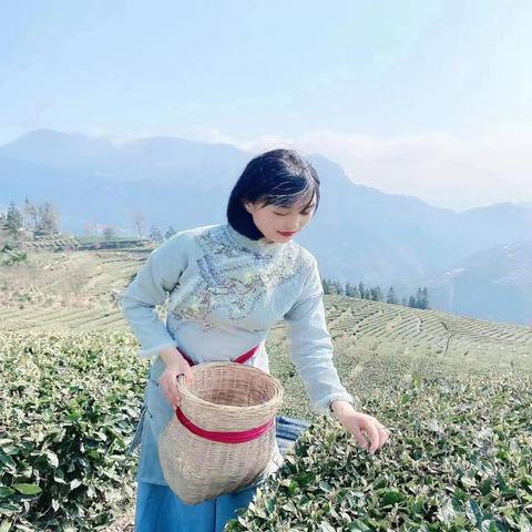 打造茶叶品牌专柜，从设计到体验的全方位攻略