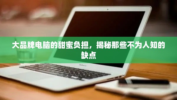 大品牌电脑的甜蜜负担，揭秘那些不为人知的缺点