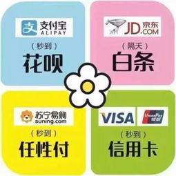 白条提现银行卡所需流程与案例解析