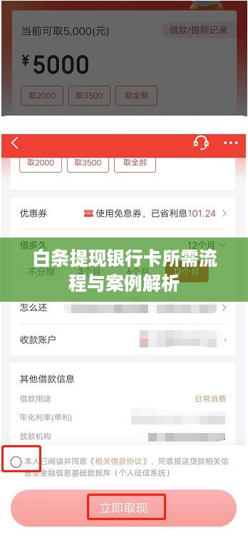 白条提现银行卡所需流程与案例解析