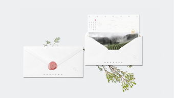 侘寂品牌茶叶，品味生活，价格几何？