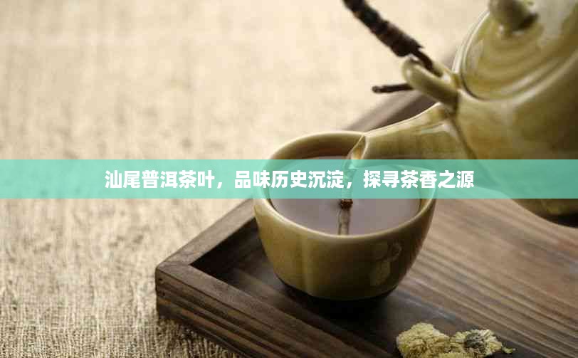 汕尾普洱茶叶，品味历史沉淀，探寻茶香之源