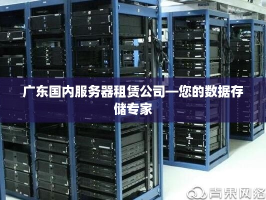 广东国内服务器租赁公司—您的数据存储专家