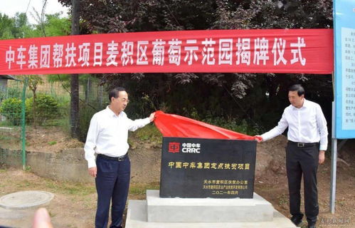 兴化服务器租赁公司大盘点