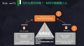 揭秘6s定位油漆品牌，如何打造消费者心中的首选