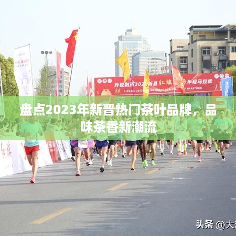 盘点2023年新晋热门茶叶品牌，品味茶香新潮流
