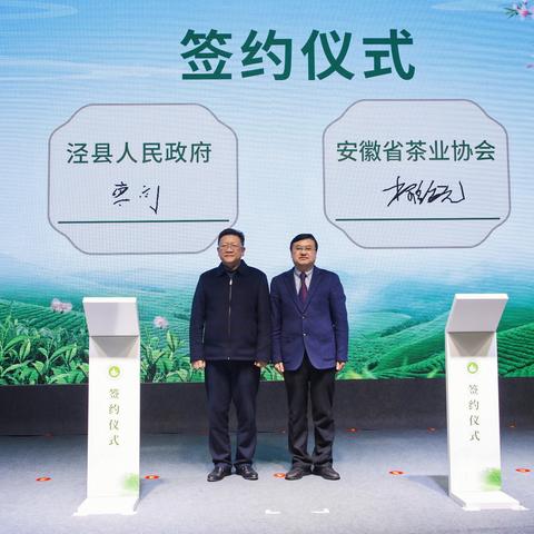 盘点2023年新晋热门茶叶品牌，品味茶香新潮流