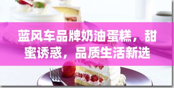 蓝风车品牌奶油蛋糕，甜蜜诱惑，品质生活新选择