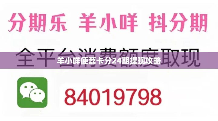 羊小咩便荔卡分24期提现攻略