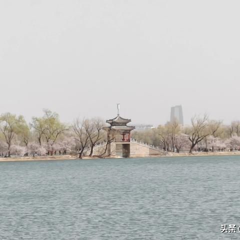 2023年爆款舞蹈服套装盘点，时尚与舒适并存，舞动你的青春风采！