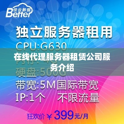 在线代理服务器租赁公司服务介绍