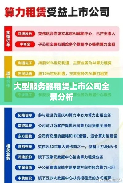 大型服务器租赁上市公司全景分析
