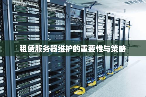 租赁服务器维护的重要性与策略