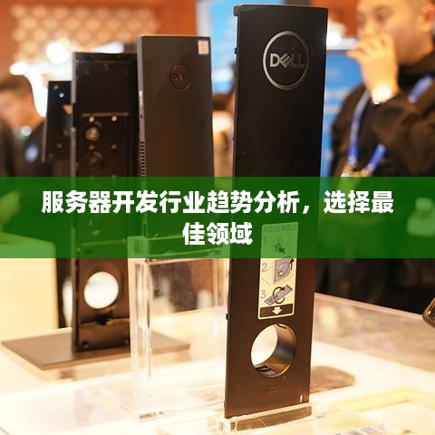 服务器开发行业趋势分析，选择最佳领域
