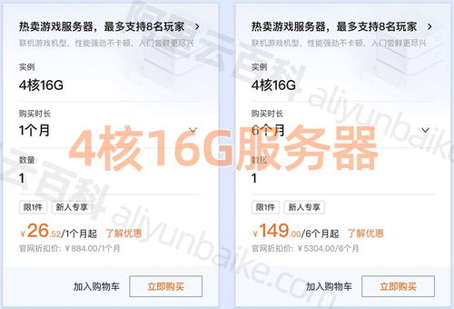 阿里云服务器租赁价格查询与案例分析