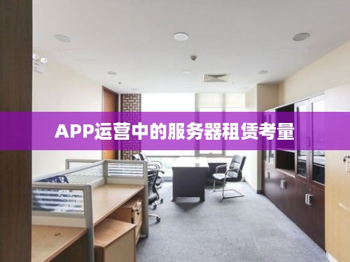 APP运营中的服务器租赁考量