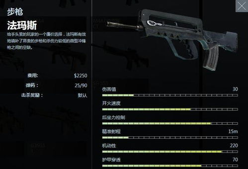 CSGO职业选手选择服务器指南