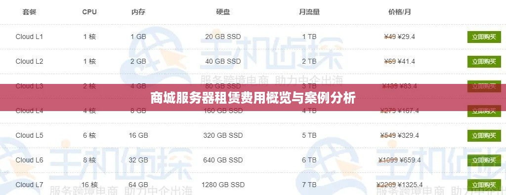 商城服务器租赁费用概览与案例分析