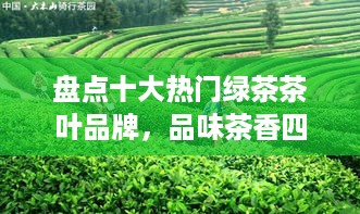 盘点十大热门绿茶茶叶品牌，品味茶香四溢的时光