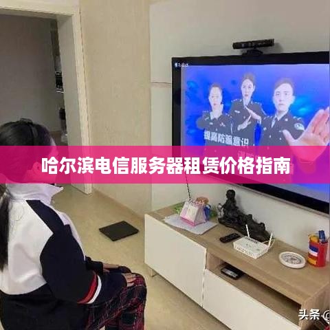 哈尔滨电信服务器租赁价格指南