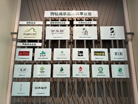 探寻茶香四溢—茶叶品牌展示馆之旅