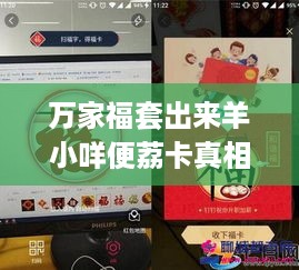 万家福套出来羊小咩便荔卡真相揭秘