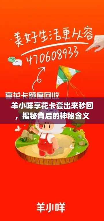 羊小咩享花卡套出来秒回，揭秘背后的神秘含义