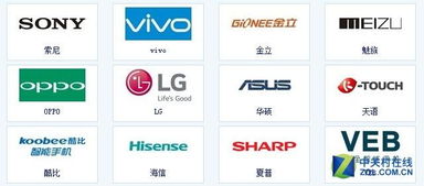 教化电脑品牌大盘点，知名品牌及特点一览