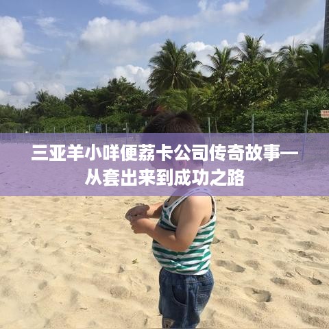 三亚羊小咩便荔卡公司传奇故事—从套出来到成功之路